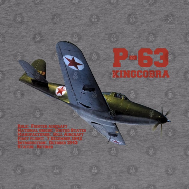 Bell P-63 Kingcobra | WW2 Plane by Distant War